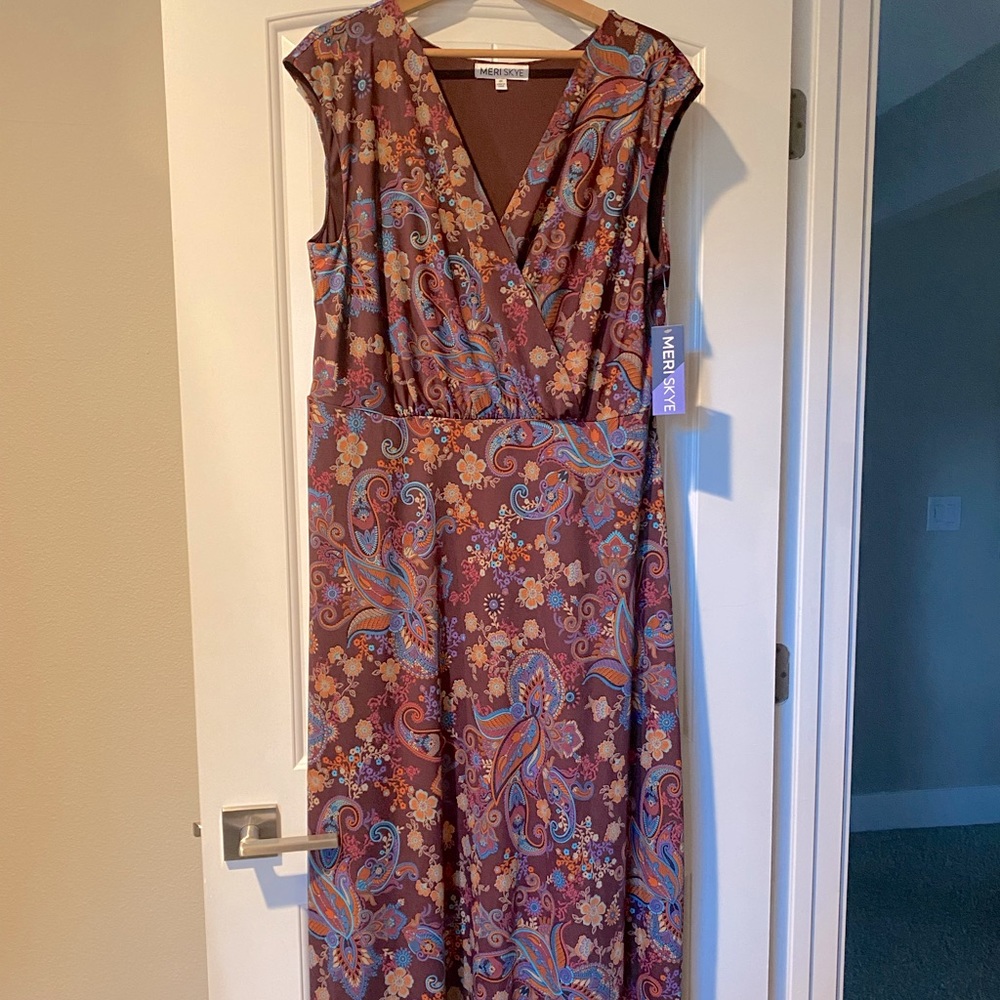 Never Worn! Petite Floral Sleeveless Maxi Dress